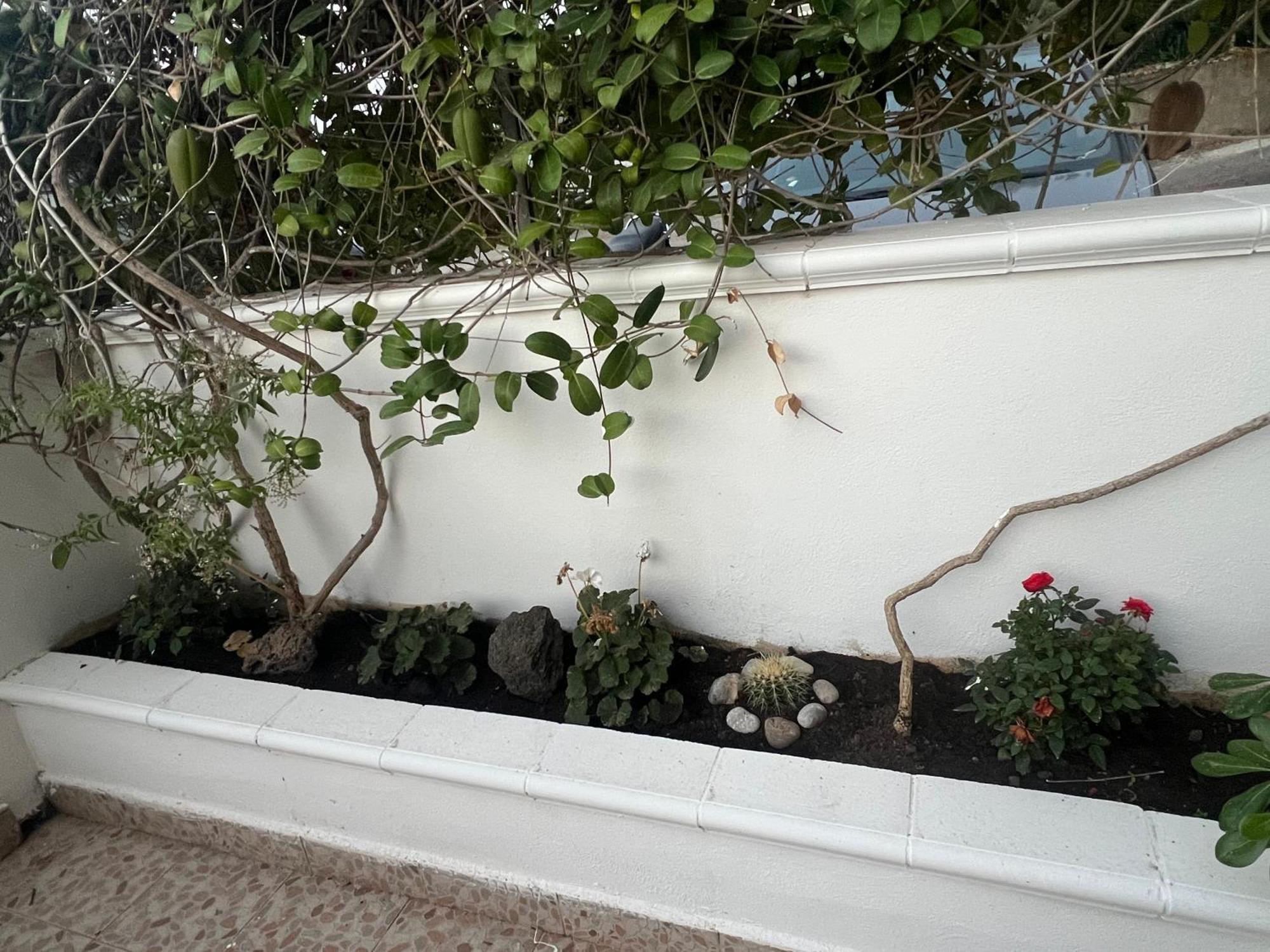 Villa La Casa Dei Ciocio Cefalú Exterior foto
